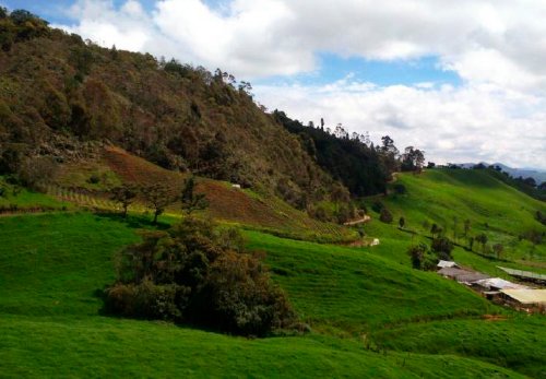 Invertir en el sur del valle de aburrá